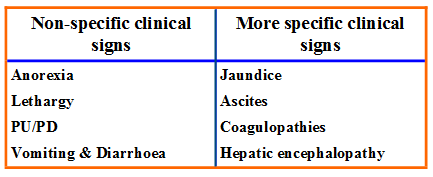 Clinical signs