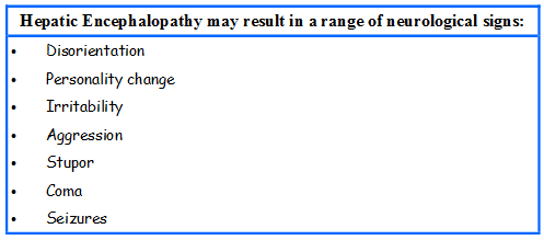 Possible signs of Hepatic Encephalopathy