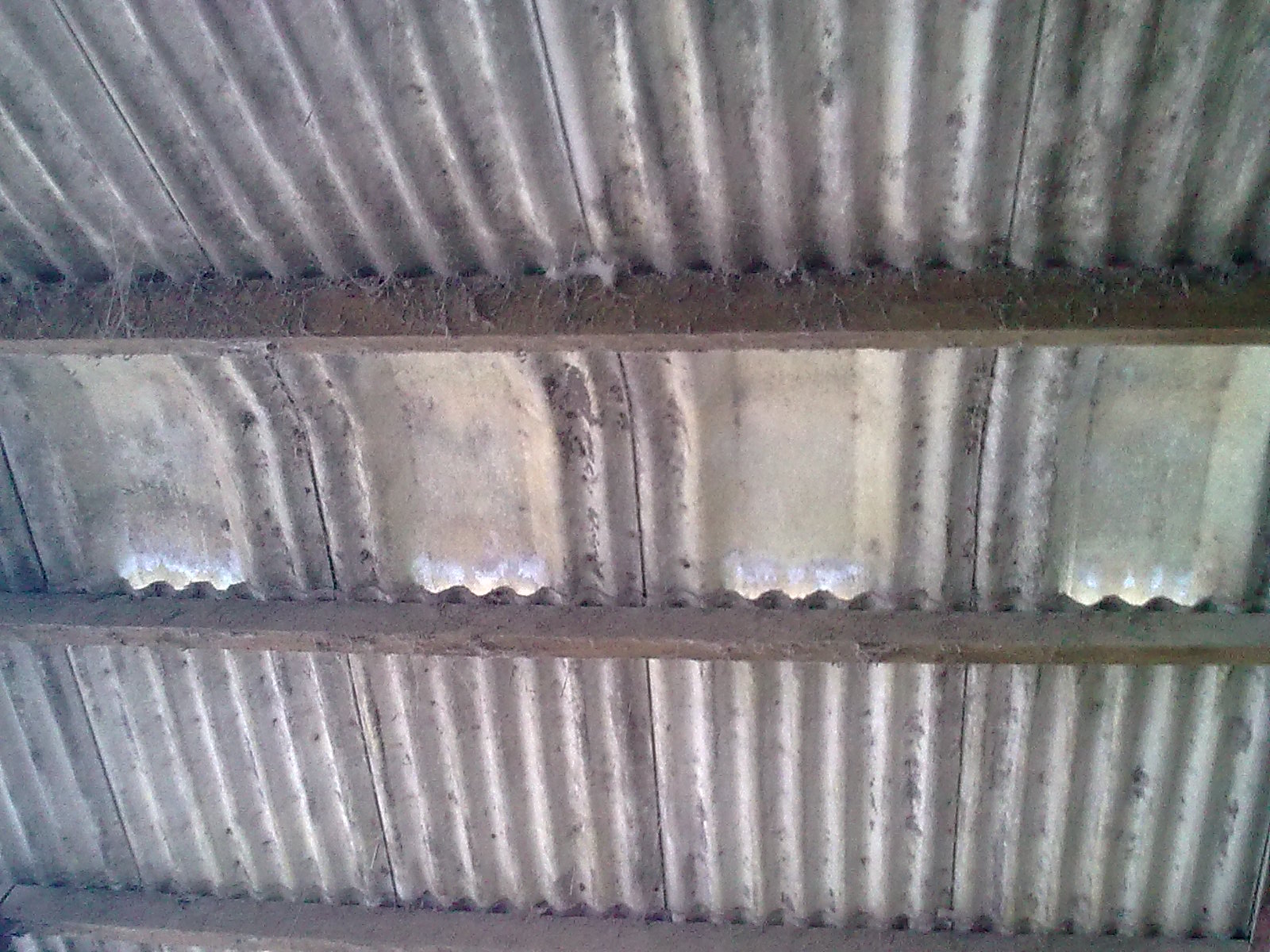 another example of a cranked ridge design, in situ